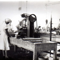 Radnice "Fabrike", Vela Luka